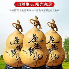 加工定制各种图案葫芦文字图案公司logo定制小美国中号大葫芦加工