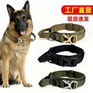 �羳���g�Ȧ���ﲱȦ܊Ȯ�iȦ�д���ȮӖ���������Ӻ������Ȧ