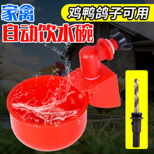 鸡用自动饮水器鸡鸭鹅饮水碗鸽子喝水碗鹌鹑家禽鸟小鸡喂水鸡水碗