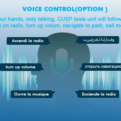 Car Navigation System, Other Automotive Communications