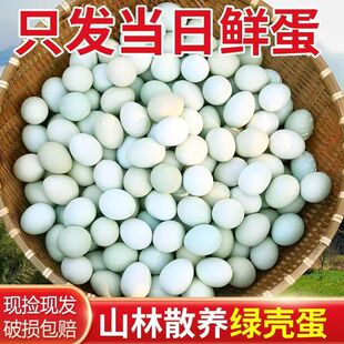 ���r���u�����u�����u���G����F50ö�����u���F�l����