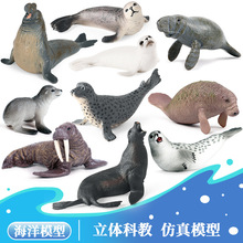 ��ͯ����������ģ�ͷ��溣�{����������ţ�����b��~���쾰�[��