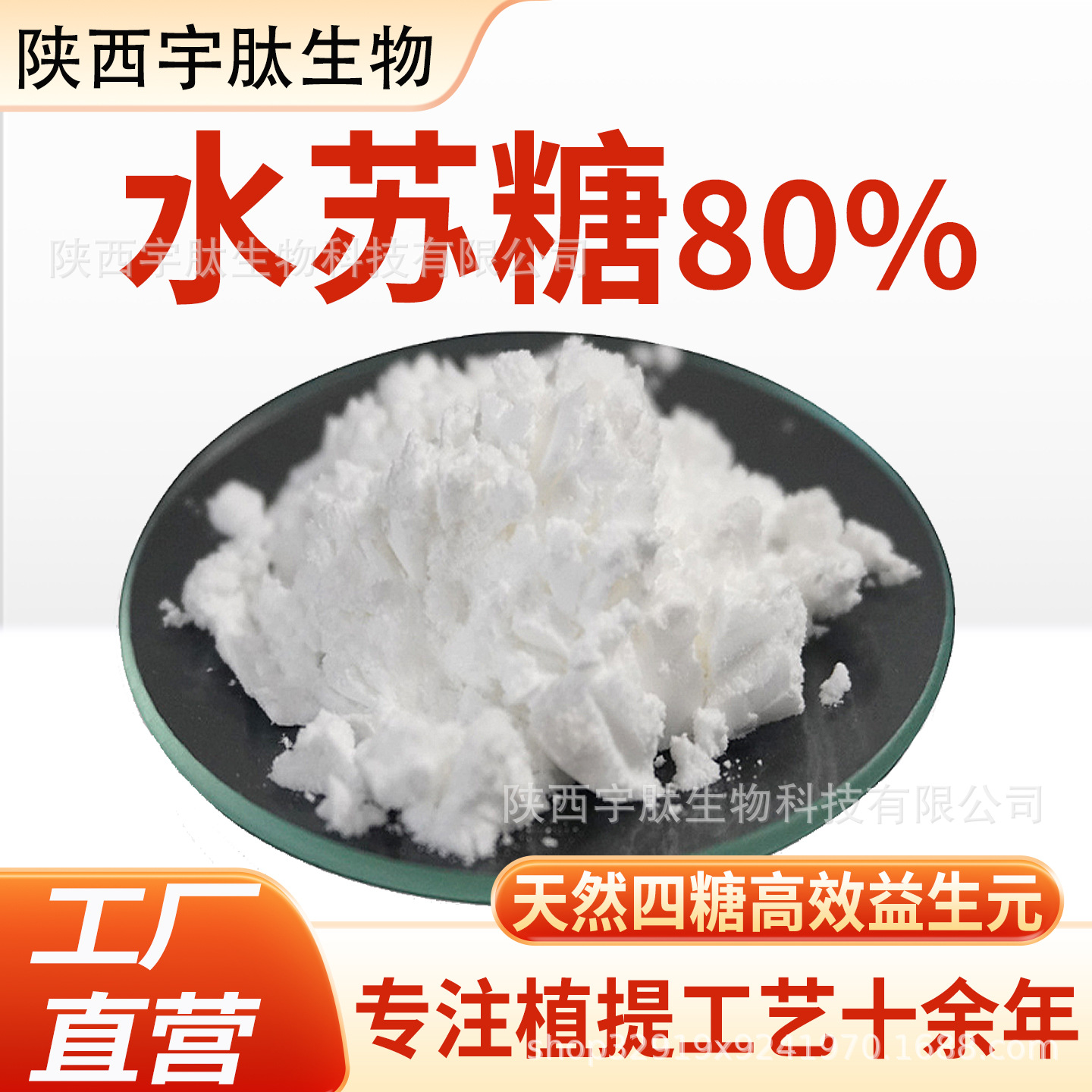 水苏糖80% 地灵提取物食品级膳食纤维功能型甜味剂益生元厂家正品