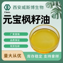 高纯元宝枫籽油神经酸＞5%食品原料元宝枫籽油提取物新资源食品