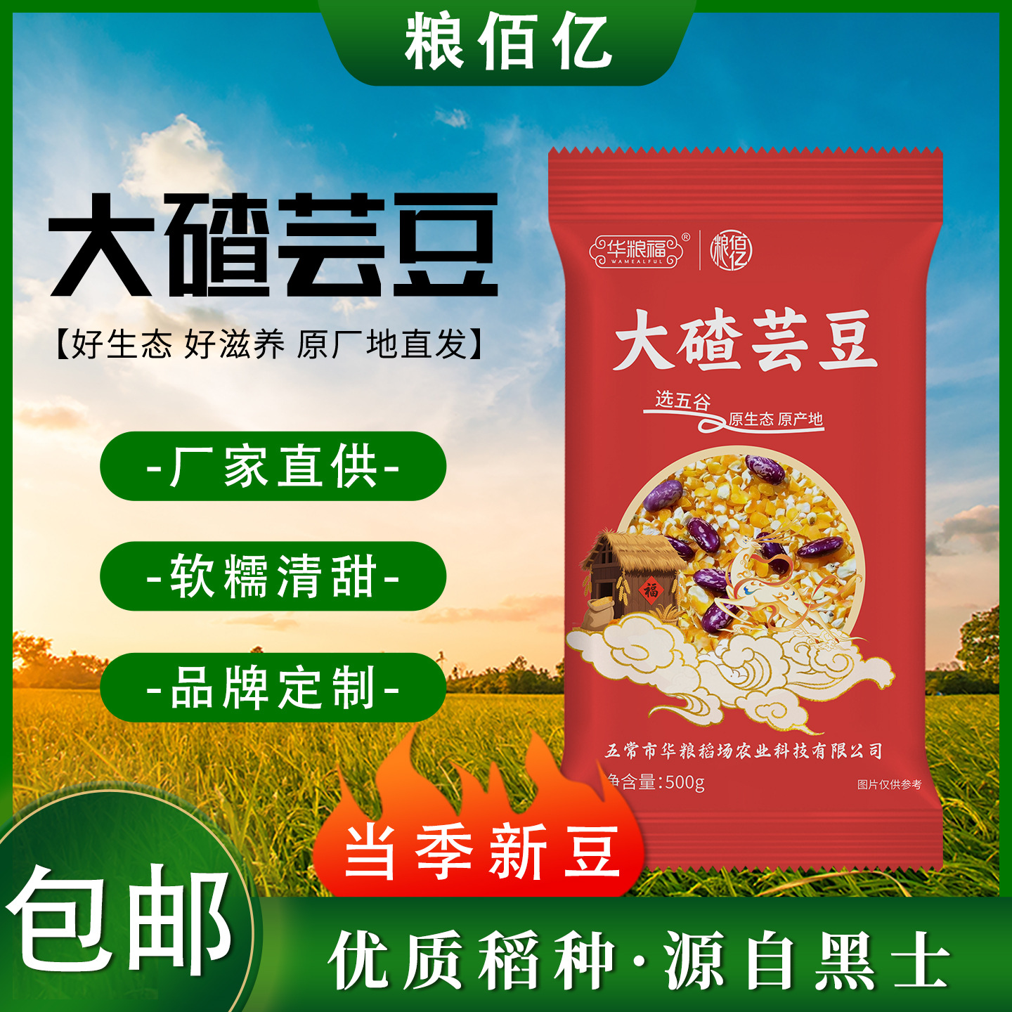 东北大碴子组合芸豆笨大碴粥粘碴子粥玉米糁粘苞米五谷杂粮粗粮