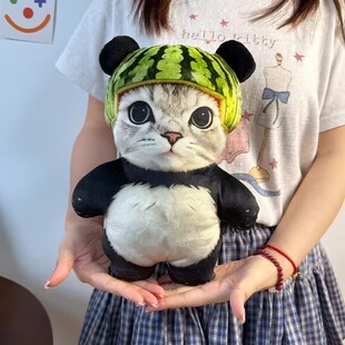 ������؈ë�q�����������ż����ɐ۱������ƽС؈������Y��