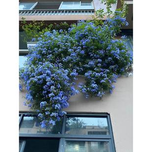 �{ѩ�����Դ���༾�_ͥԺ�̨��̨���ٿɴ������ܾGֲ���͟�໨