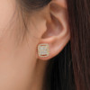 Square earrings for beloved, zirconium, universal silver needle, suitable for import, silver 925 sample, wholesale