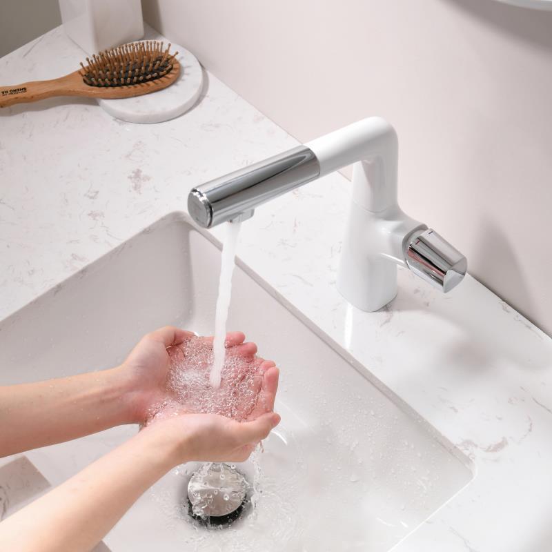 Kaiping Youjia Sanitary Ware Single-hole White Chrome Two-function Water Outlet Basin Lifting and Draining Hot and Cold Faucet 30872