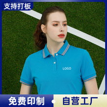 培训机构夏季文化衫定制T恤polo裙印logo女士翻领广告衫工衣订做