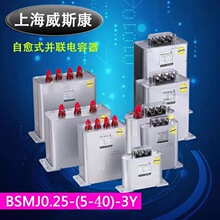 �Ϻ���˹��������BSMJ0.25/0.28-20-1-3Y/250V 1-30K����250V280V
