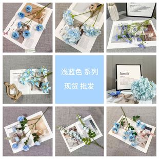 �{ɫϵ���滨�M�ϲ廨����d���üٻ��̈�������ꐲ�����c·��