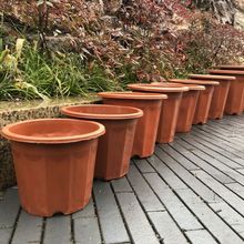 塑料花盆E型高腳菱邊基地盆實用園藝陽台綠植花卉紅色圓花盆抖音