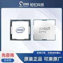 ����AMD����������EPYC 9124 CPU���÷�������������AI����վ