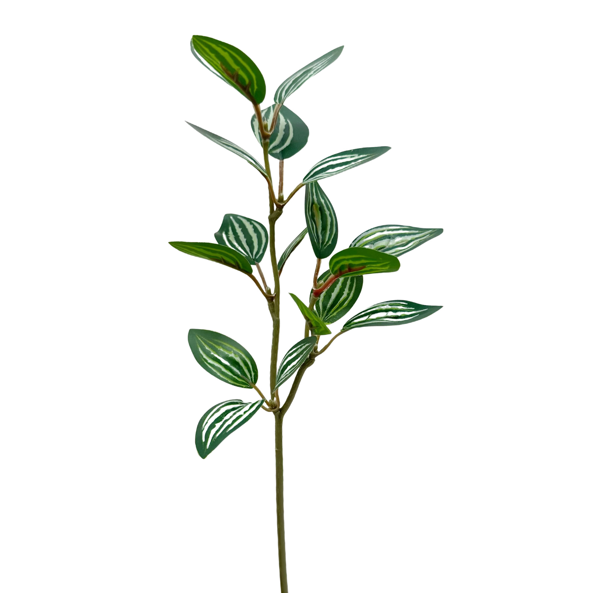매달린 매화 잎 (높이 약 30CM-5g)