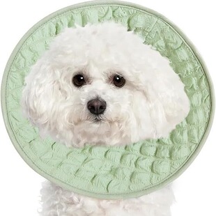 Amazon new pet cat and dog Elizabeth ring British short cat neck ring head cover cat sterilization collar anti-licking