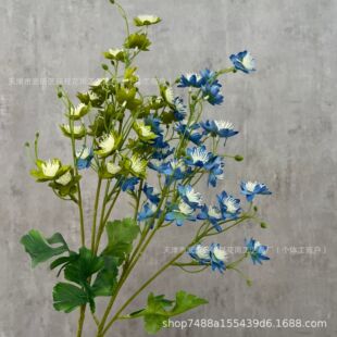 ���滨 ʯ����Ȼϵ�Ҿӿ͏d�����b�ˇ�[�����յ��߻�c�ٻ�