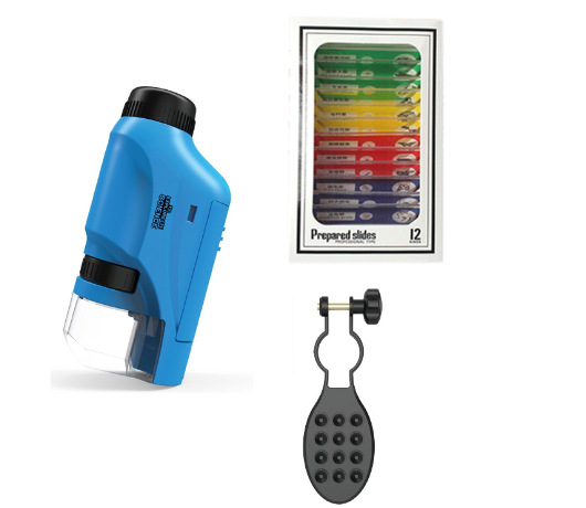 (영어) * 블루 컬러 표본 휴대 전화 홀더