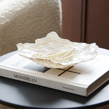 ������ߙn�����ò�ؐ����Ҏ�t�Π���P�бP�[���Ӱ��g�ռ{��P