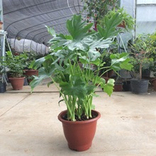 ��������С��ʹ�Gֲ�҃Ȼ��ܺ��Bˮ�ࣨ���ࣩ���ɡ������l؛��