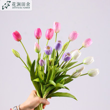 ����5ͷ�ָ���������������ins��ҾӰ���װ�ΰڼ�������߼ٻ�