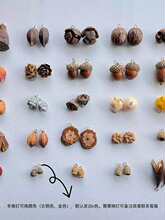 ֲ����h�����������ɹ�diy�ֹ����ӄ��₀�Զ�����ֲ���F�z