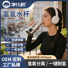 Դ�^���SCarl����ˮ���X�Ͻ�߶˸��̄��͸ߚ��ȸ���ˮ���ƚ䱭