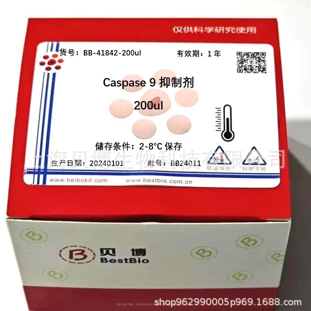 Bestbio贝博 Caspase抑制剂Z-VAD-FMK (20mM) BB-41812-100ul (现