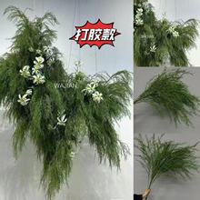 С�t�����z�����Gֲ�J���ݾG���ݼ��m�ٺϻ���ٺ���횲ݻ�c