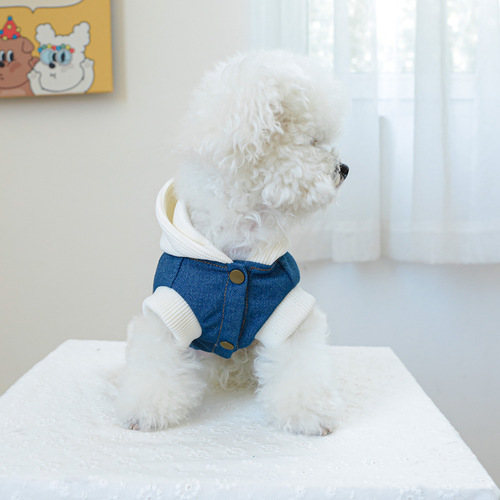 Factory direct supply/spot export pet clothes, dog and cat clothing, handsome hooded champion denim clothes