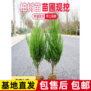 �����ɰ����ر�Ȱ��ļ�����G����ľ�������ͺ��ͺ��׳ɻ�