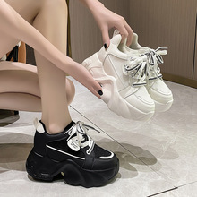 ϵЬŮ2024＾¿͸W߸\ЬٴŮЬ