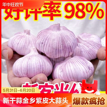 �¸���5������^�N�Ӹɴ���N�Ѻ������l���r�߲�2/3/10����Ƥ��