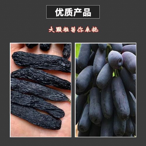 Wholesale Xinjiang sapphire raisins naturally dried beauty fingers original seedless golden finger specialty snacks for delivery