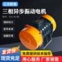 高频振动异步三相电机