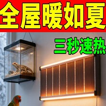 ����ʯīϩ�ߜ�늟�Ĥ��ůʯīϩ�l��Ƭ��ů늟��