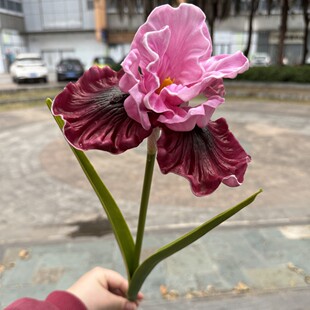 ���^�Sβ��¹ԭ�� 2026�����������辰�ָл��ĸ��|����[��