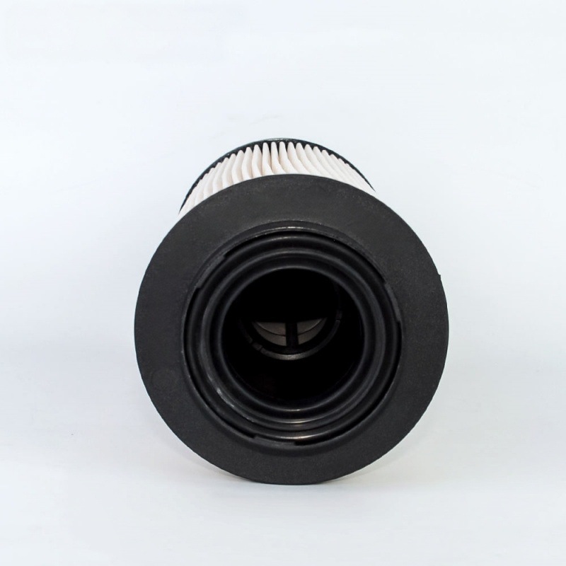 Foreign trade version 2277129 PU10009Z FS20260 P581406 PF46106 diesel fuel filter