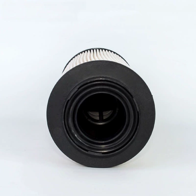 Foreign trade version Diesel filter