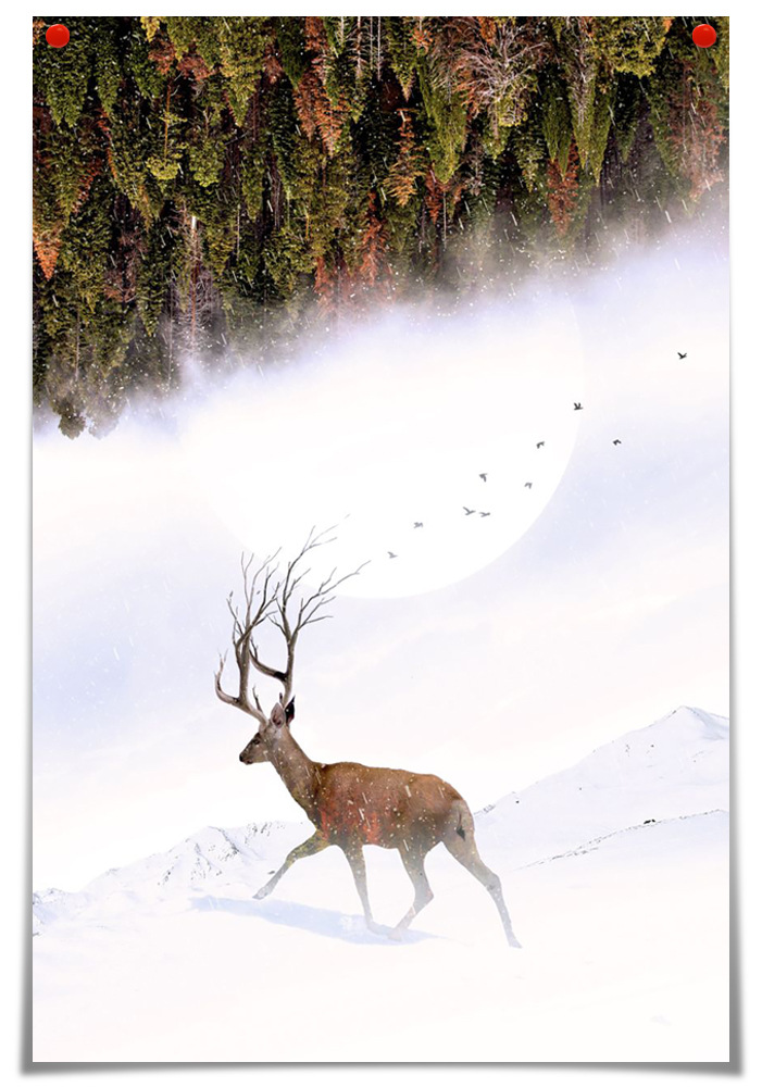 跨境货源 亚马逊 wish 幻想动物鹿海报帆布画客厅的墙壁图片壁画