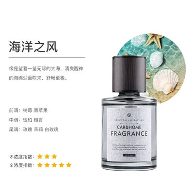 Fireless Aromatherapy Car Fragrance Car Car Perfume Aromatherapy - ocean-of-time