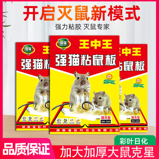 Sticky Mouse Stickers Biao Brand Strong Sticky Mouse Board Waterproof Mouse Stickers Hard Board Sticky Mouse Household Mouse Killer Support Sample King of Kings