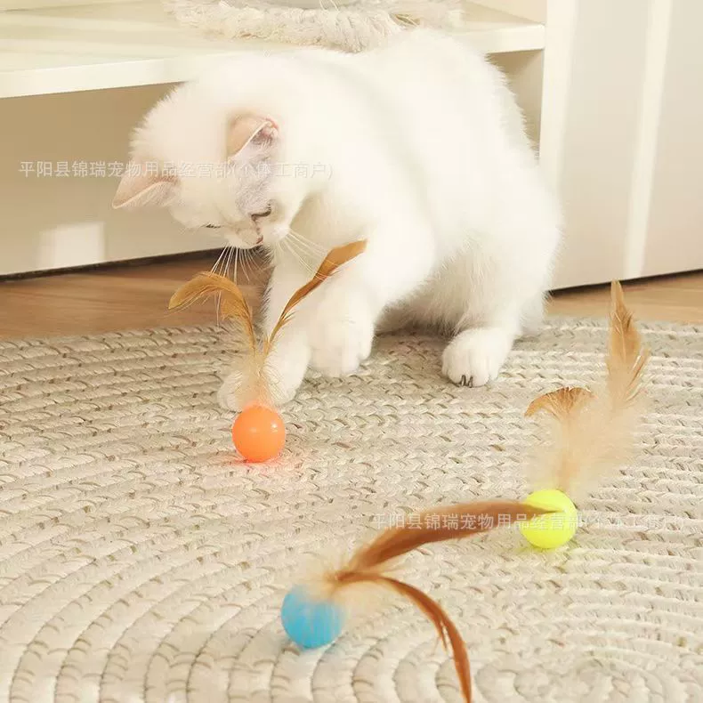 Toy, plush bouncy ball, cat, pet, getting rid of boredom