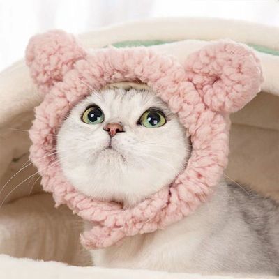 Headgear Kitty Hat Headgear Teddy Hiromi France bucket Funny Hat Pets Dogs Hat Headdress Supplies