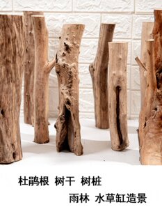 ��ľ���N����U�䘶��֦ˮ�� �����쾰 ���N����ľ �~���쾰