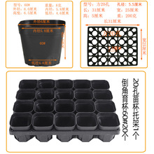 �傀�b�м��бP�I�B�����籭�����������бP�����m���DѨ�P�����