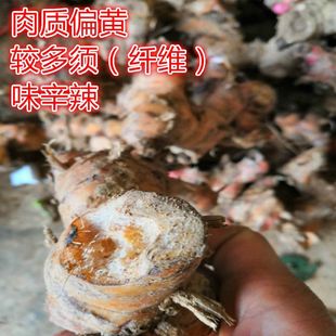 �V������ Ұ��ɽ�� ɽ���^ ɽ���� ��÷���u ���u ��������Ʒ