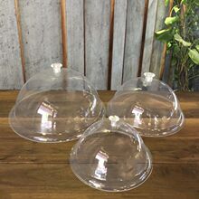 ʳƷ�w͸�����m���L��������ֲ��w�����бP�w���w�ˈA�������w