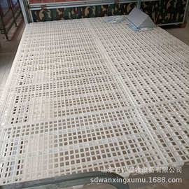 厂家供应鹅用漏粪地板 育雏漏粪地板图片 鸭用漏粪地板厂家