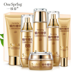 A Branch of Spring Snail Moisturizing Hydrating Set of 6, a gift box of facial cosmetic products, a set of skincare from the manufacturer